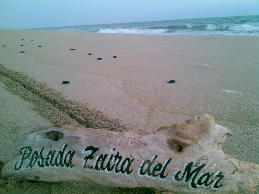 Posada Zaira Del Mar Coyuca Екстер'єр фото